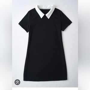 Plus size black and white collared shirt dress